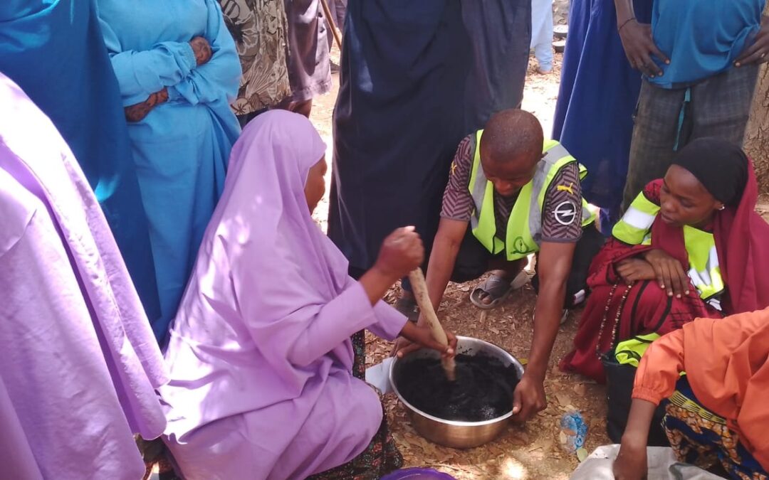 practical briquette-making training in Kano