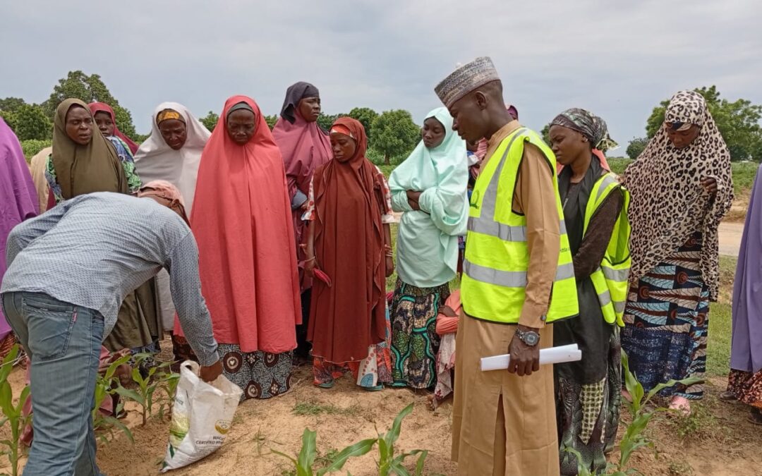 Climate-smart agriculture in Kano State